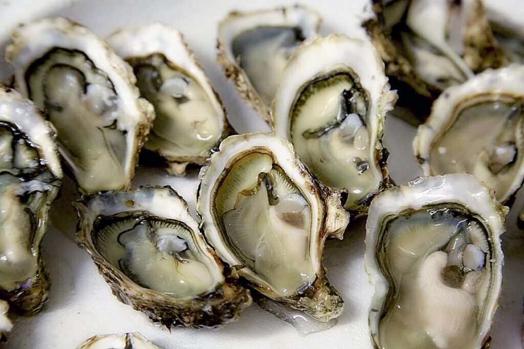 Fresh oysters on ice