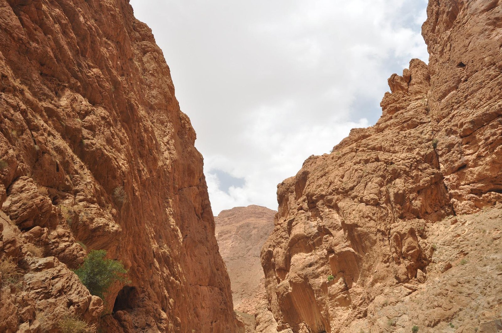 8 days tour in Marrakesh