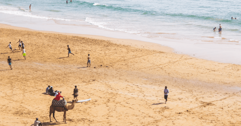 Camel on a wide Atlantic beach in Morocco