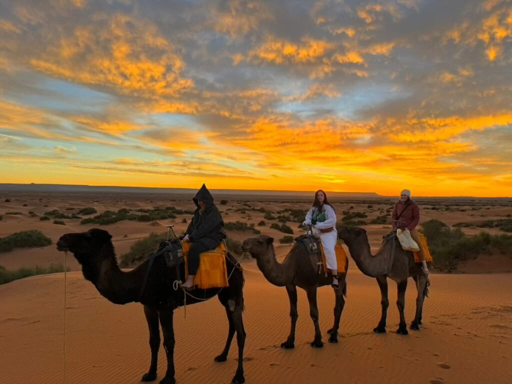 A breathtaking view of the Sahara Desert with a camel caravan during a 12-day Morocco itinerary