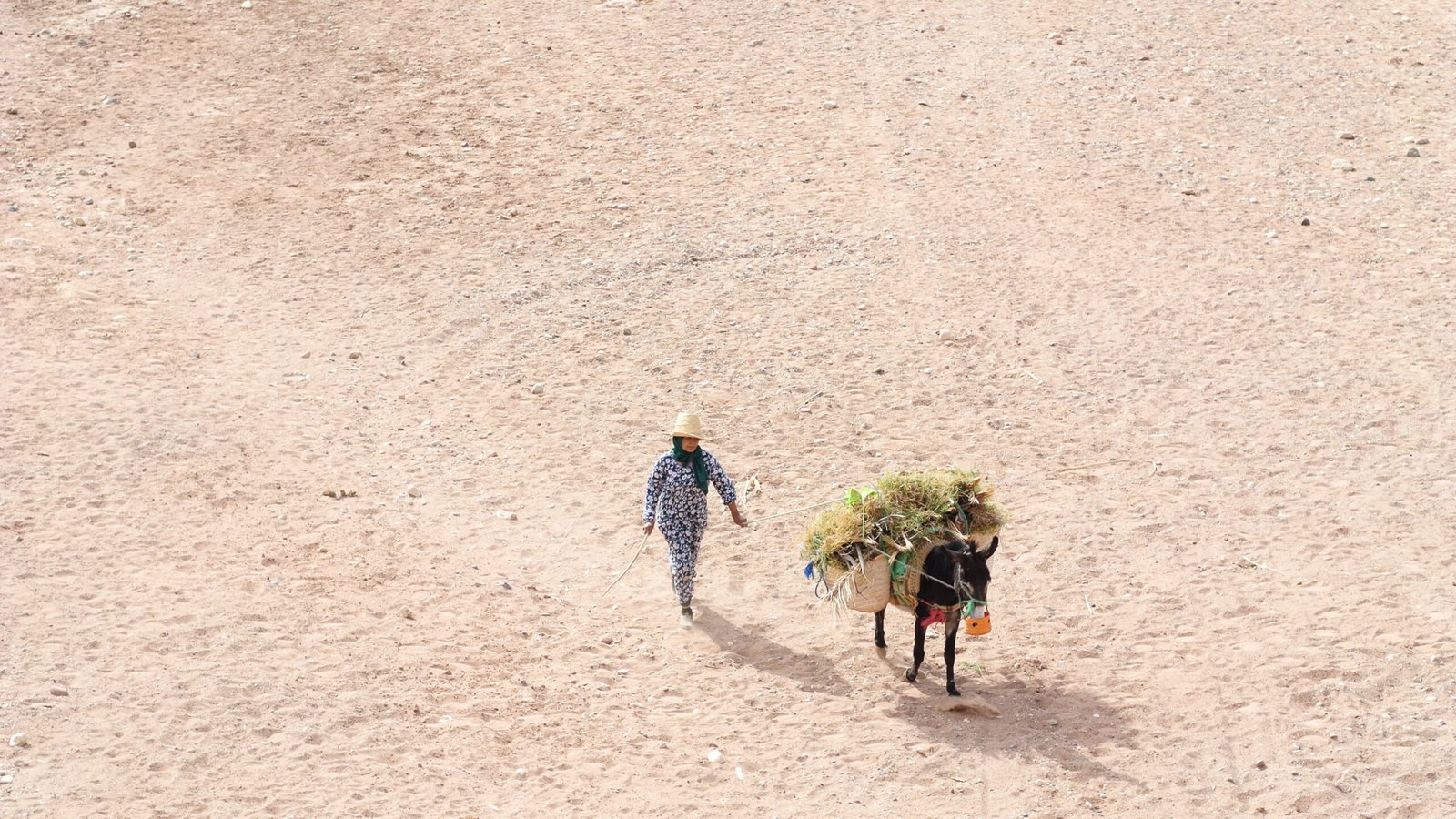 She & Co Travel Morocco