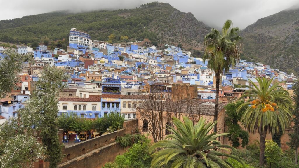 Blue houses of Chefchaouen framed by palm trees