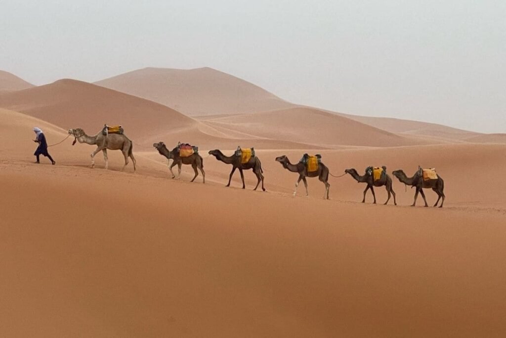 15-day Morocco tour from Casablanca to Marrakech