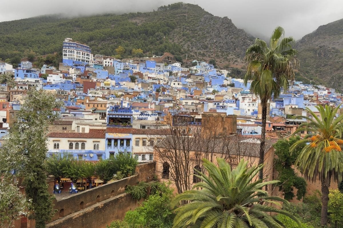 Panoramic view of Chefchaouen’s blue-painted houses on a hillside, with palm trees in the foreground and misty mountains in the distance.