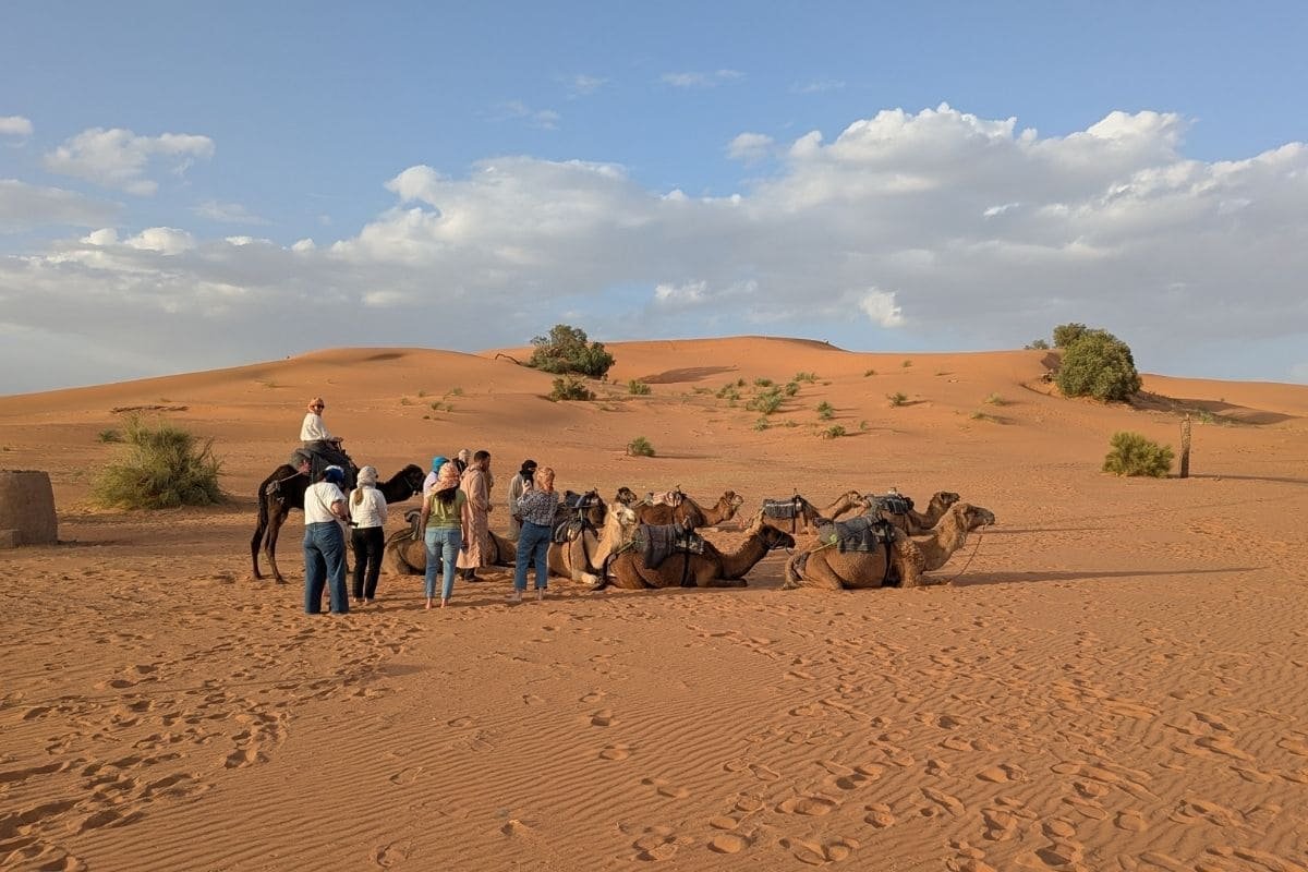 Tour group with camels in a sandy desert under a blue sky near orange dunes.