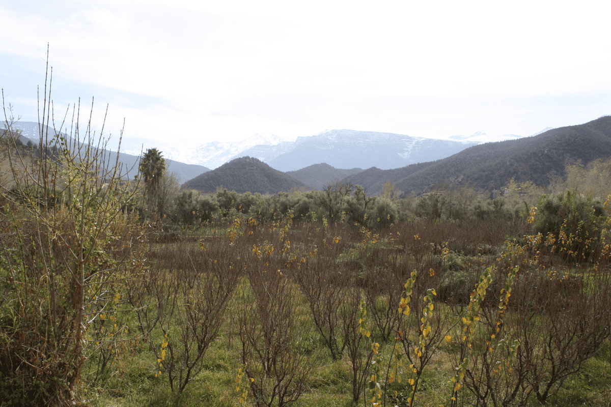 Eco-lodge kasbah in the High Atlas Mountains Morocco