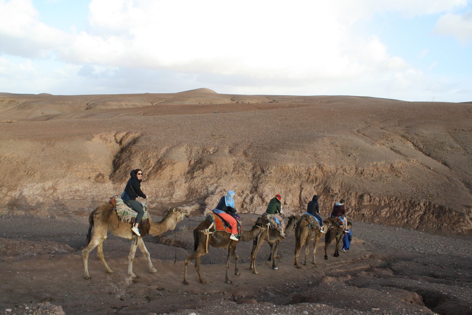 Marrakech Essaouira family tour Marrakech scenery