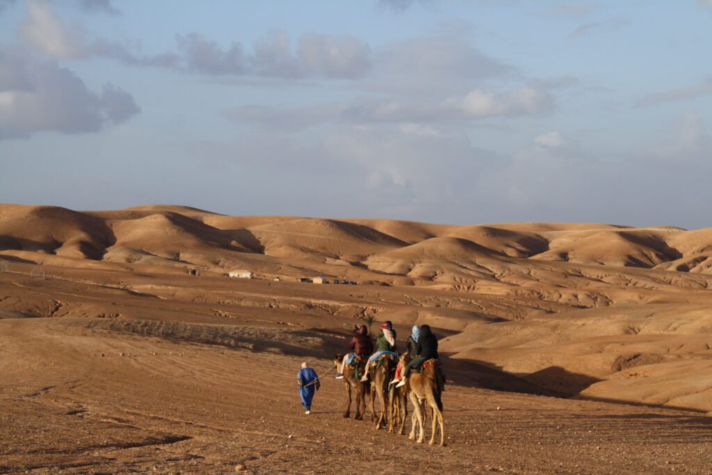 Camel caravan crossing the Agafay Desert near Marrakech
