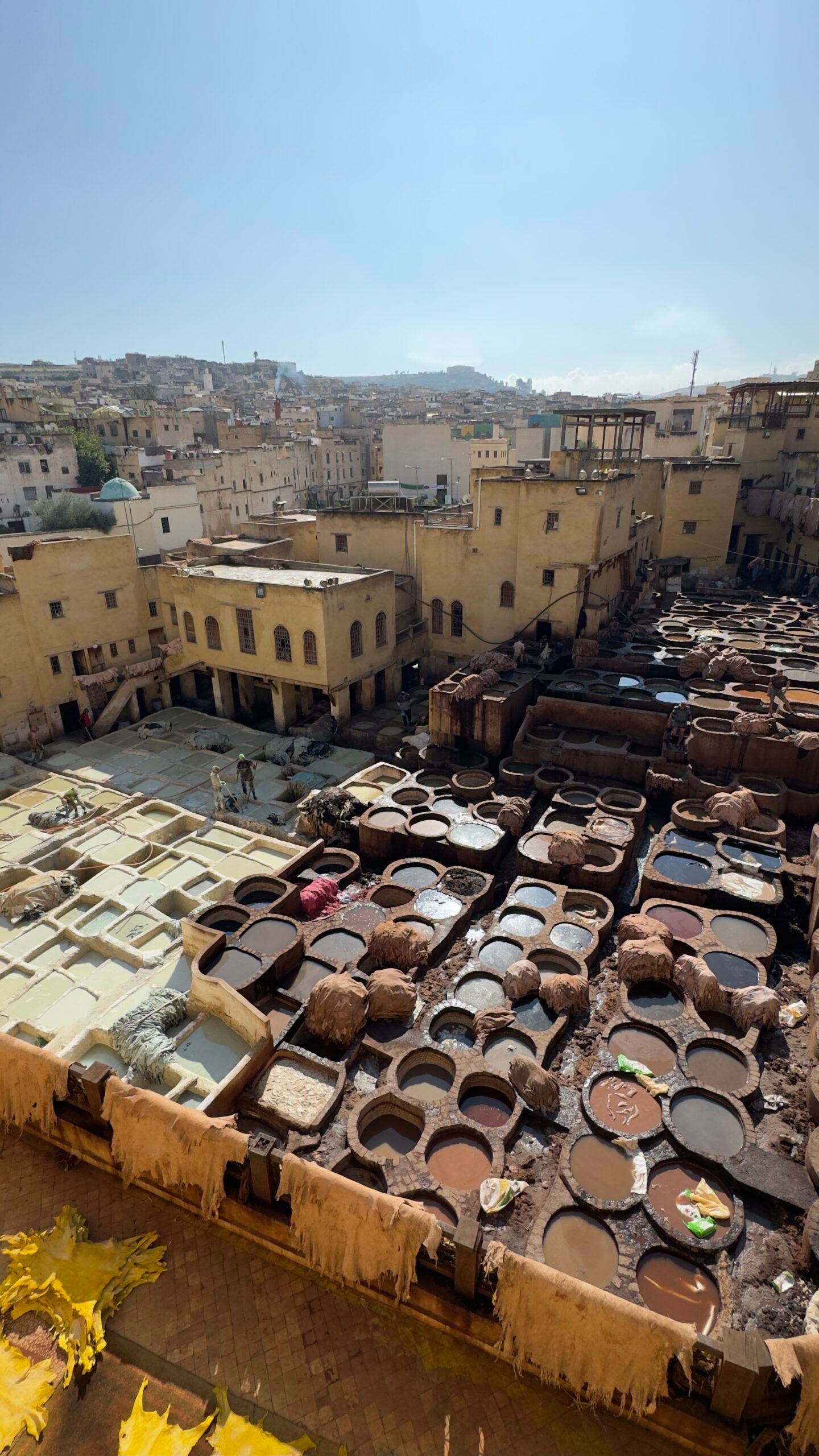 Chouara Tannery dye pits in the Fez medina