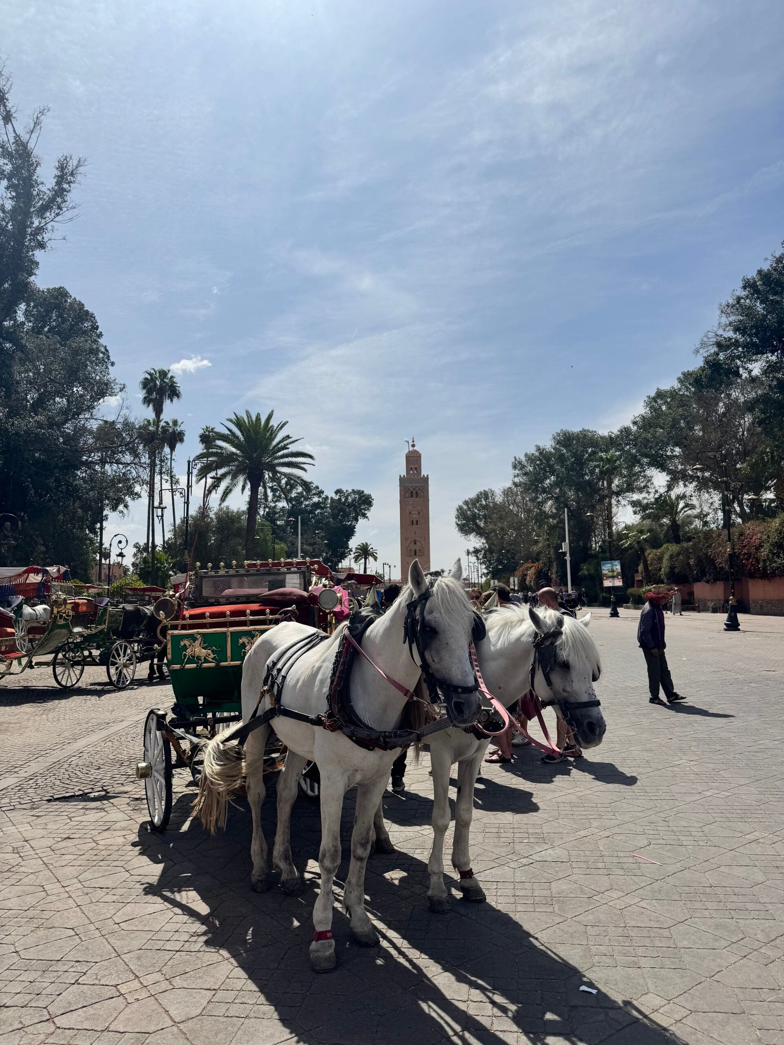 Horse-drawn carriage near Jemaa el-Fna square, Marrakech