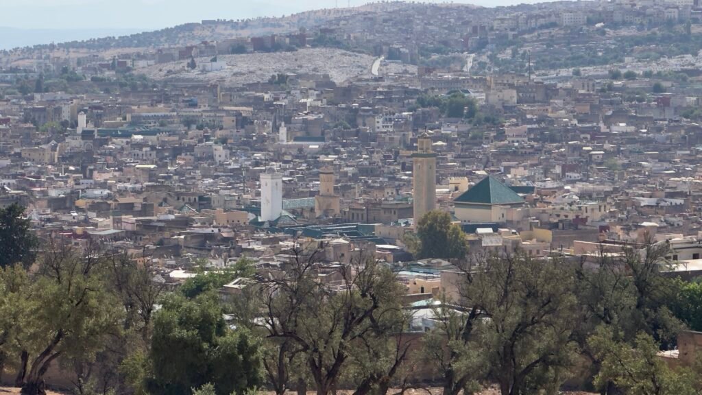 Fez medina spreading across the valley seen from above
