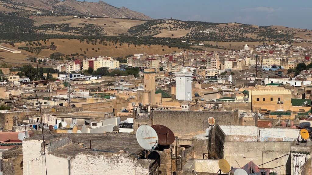 Rooftops of the old medina of Fez with hills behind
