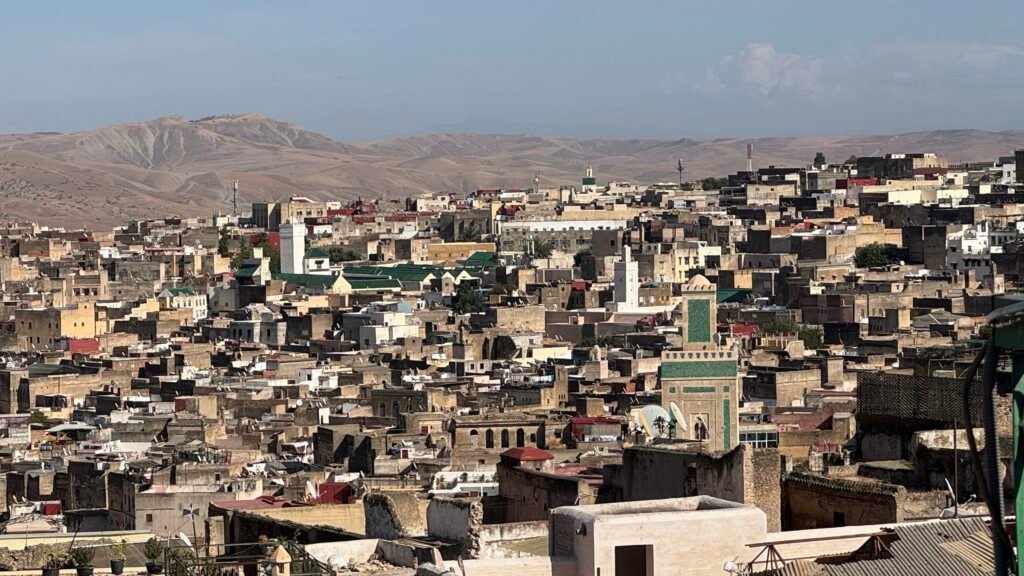 Panoramic view over the rooftops of the Fez medina